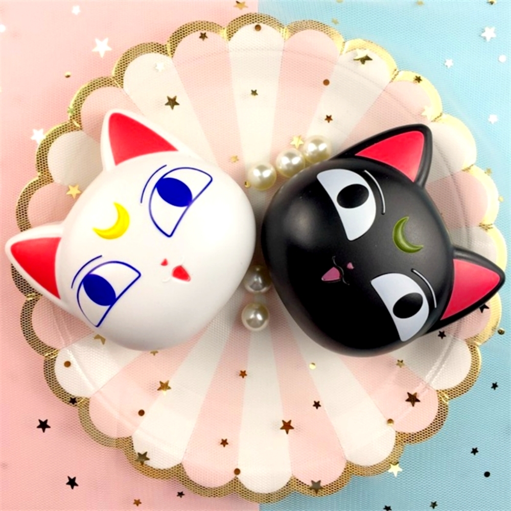 Lens Case cat